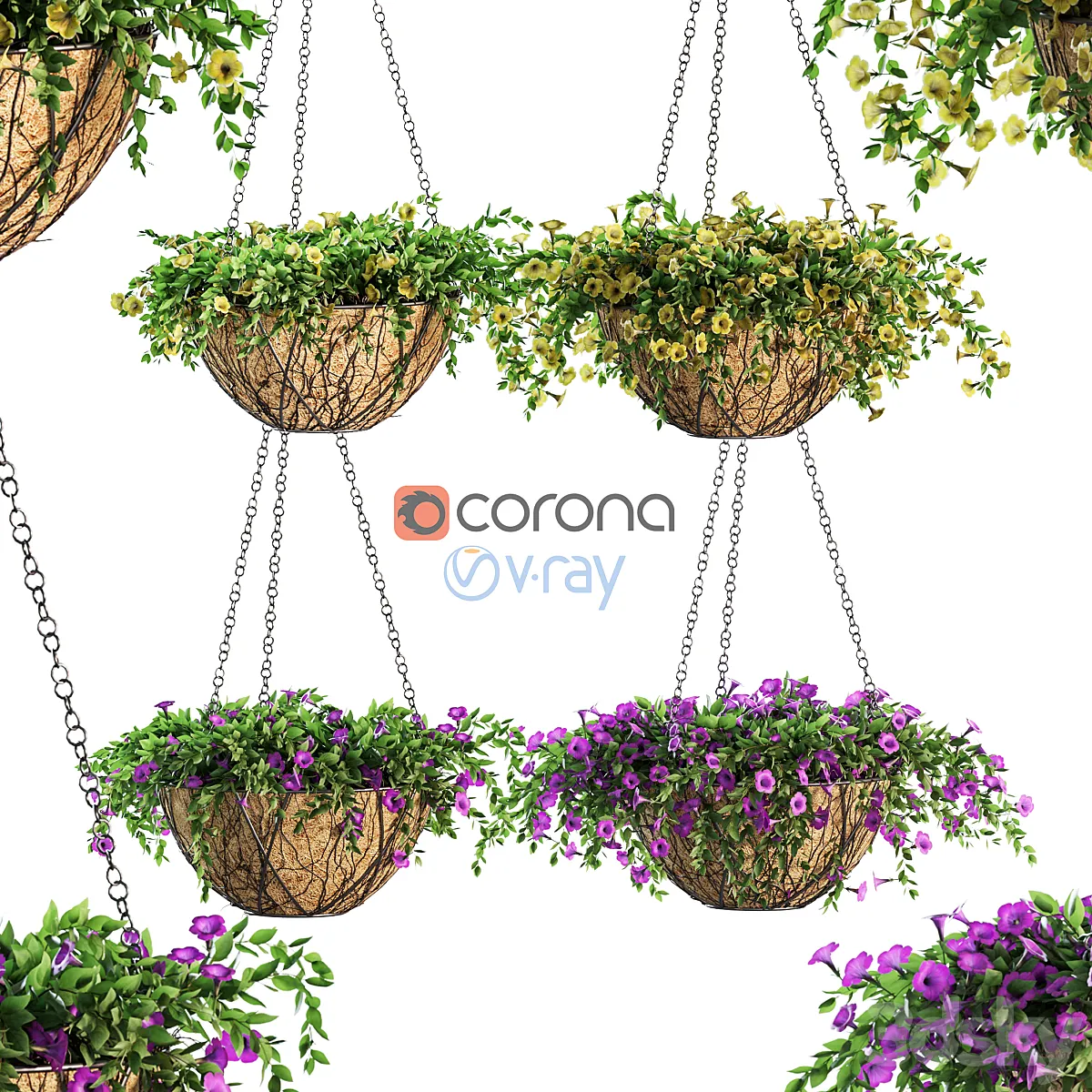 دانلود 3dsky – Flowers in pots on a chain. Petunia. 4 models