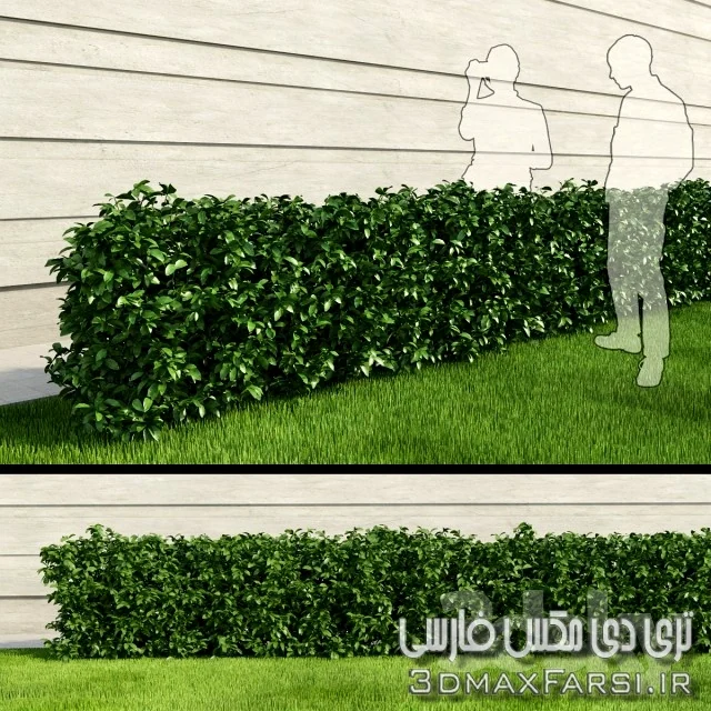 مدل سه بعدی شمشاد برای ساخت دیوار سبز Amb Rectangular Bush